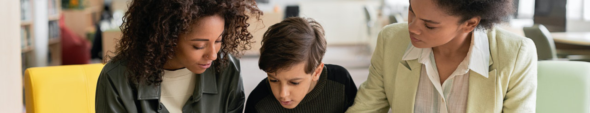 Page Banner FIS Professional Working With Family