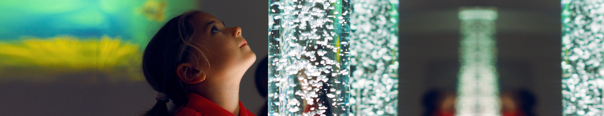 page banner school trip