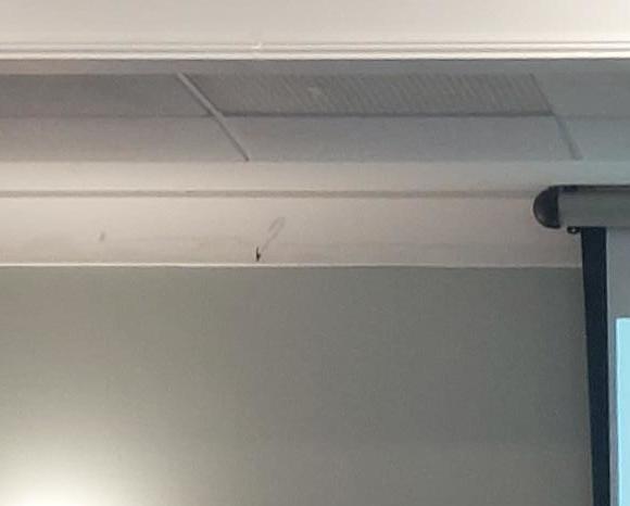 Vanessa Presentation 6